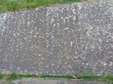 image of grave number 947331